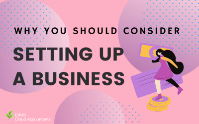 Why You Should Consider Setting Up A Business