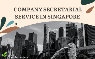 COMPANY SECRETARIAL SERVICE IN SINGAPORE