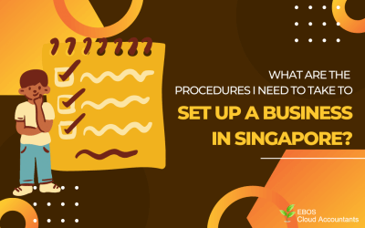 WHAT ARE THE PROCEDURES I NEED TO TAKE TO SET UP A BUSINESS IN SINGAPORE?