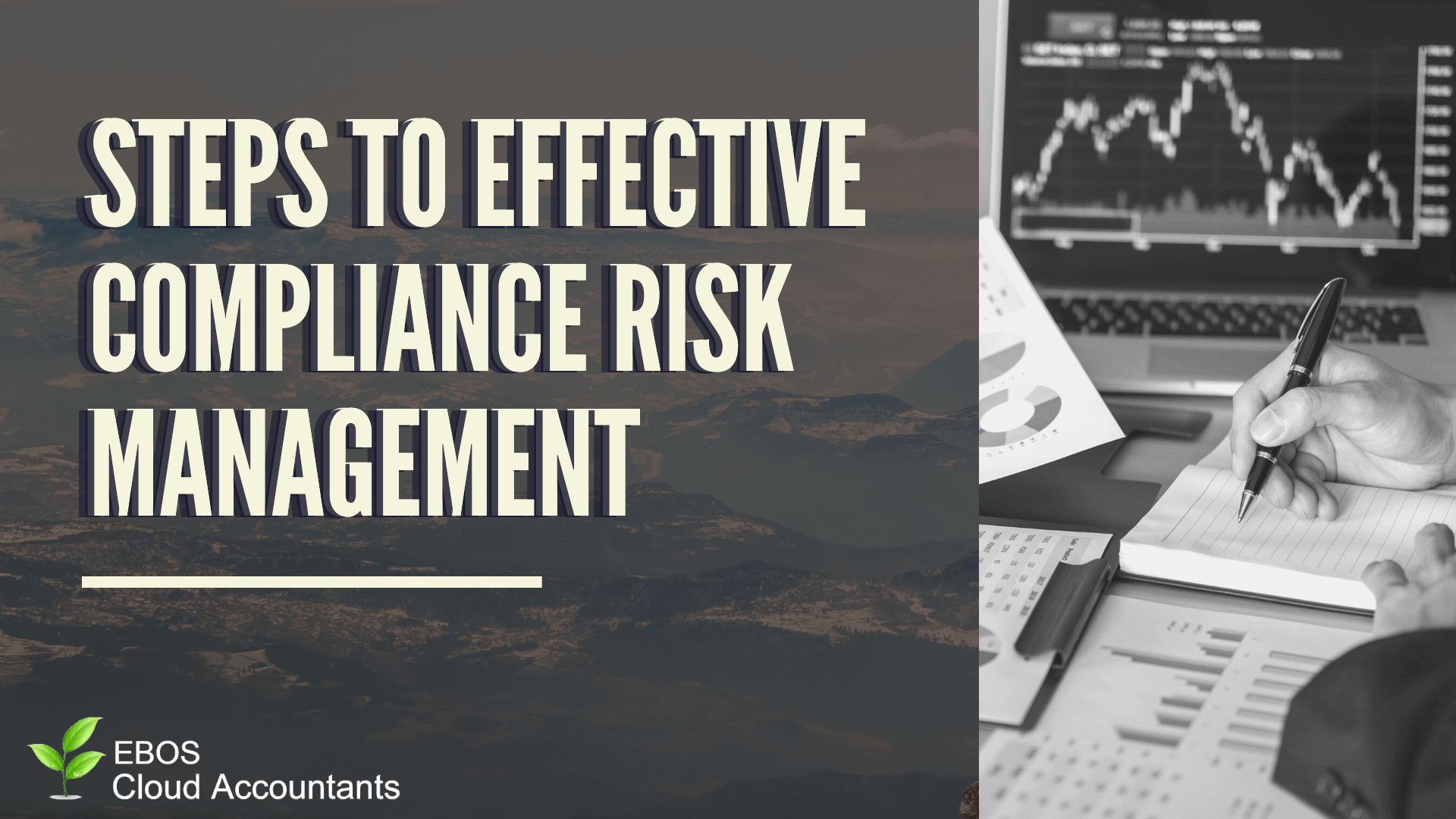 Steps to Effective Compliance Risk Management - EBOS