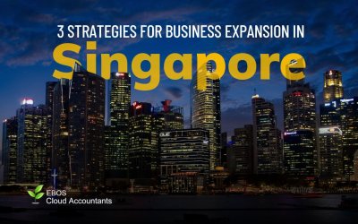 3 Strategies for Business Expansion in Singapore