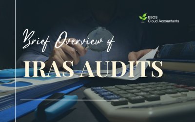 Brief Overview of IRAS Audits