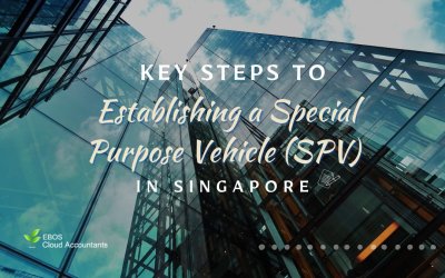 Key Steps to Establishing a Special Purpose Vehicle (SPV) in Singapore