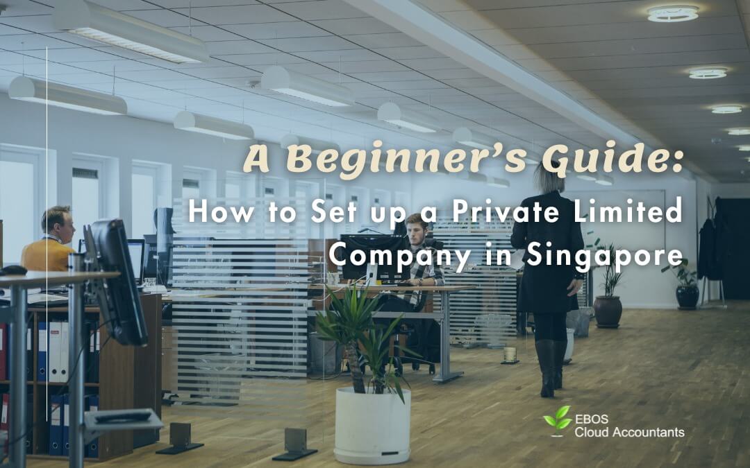 A Beginner’s Guide: How to Set up a Private Limited Company in Singapore