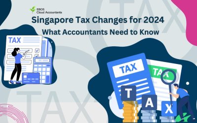 Singapore Tax Changes for 2024: What Accountants Need to Know