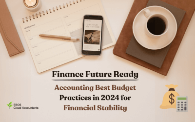 Finance Future Ready: Accounting Best Budget Practices in 2024 for Financial Stability