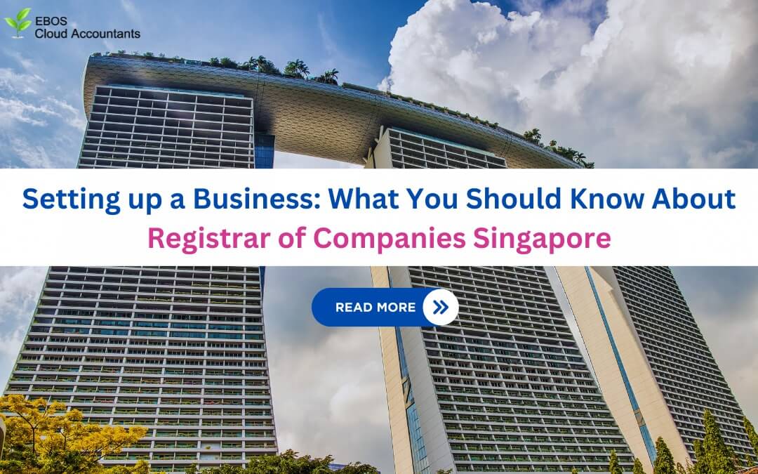Setting up a Business: What You Should Know About Registrar of Companies Singapore