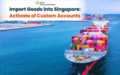 Import Goods into Singapore: Activate of Custom Accounts