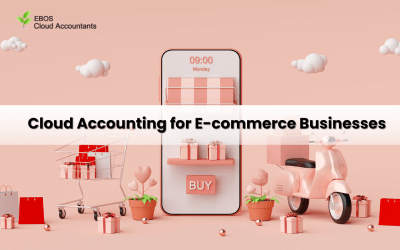 Cloud Accounting for E-commerce Businesses