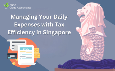 Managing Your Daily Expenses with Tax Efficiency in Singapore