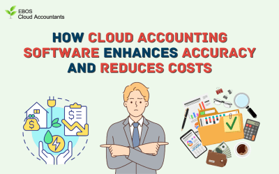 How Cloud Accounting Software Enhances Accuracy and Reduces Costs