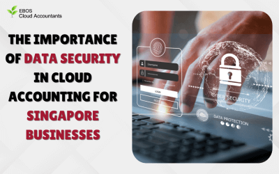 Securing Your Finances: The Importance of Data Security in Cloud Accounting for Singapore Businesses