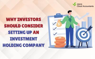 Why Investors Should Consider Setting Up an Investment Holding Company