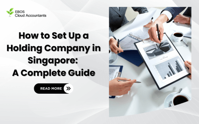 How to Set Up a Holding Company in Singapore: A Complete Guide