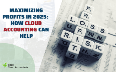 Maximizing Profits in 2025: How Cloud Accounting Can Help