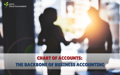 Chart of Accounts: The Backbone of Business Accounting