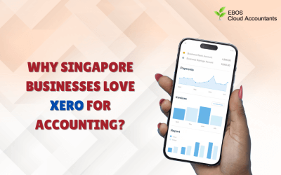 Why Singapore Businesses Love Xero for Accounting