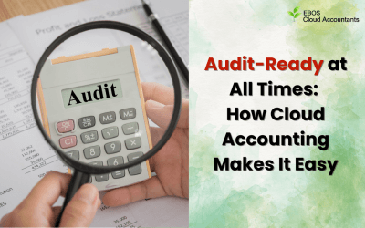 Audit-Ready at All Times: How Cloud Accounting Makes It Easy