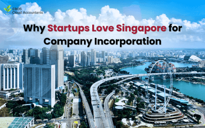 Why Startups Love Singapore for Company Incorporation