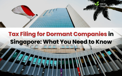 Tax Filing for Dormant Companies in Singapore: What You Need to Know