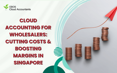 Cloud Accounting for Wholesalers: Cutting Costs & Boosting Margins in Singapore
